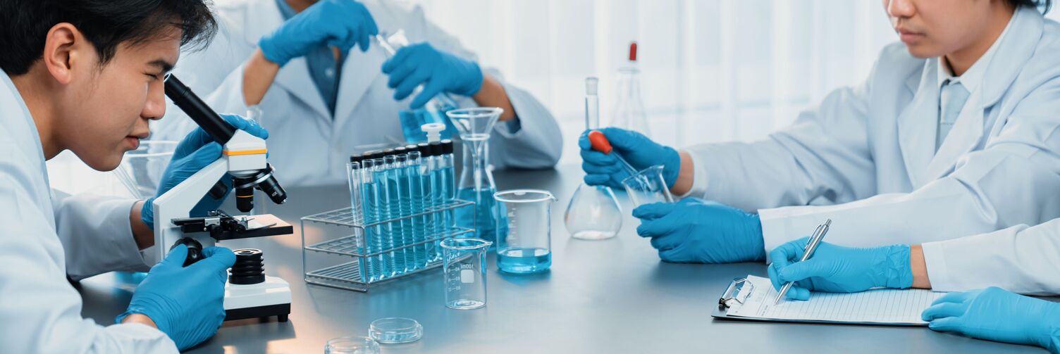 TALAS researchers